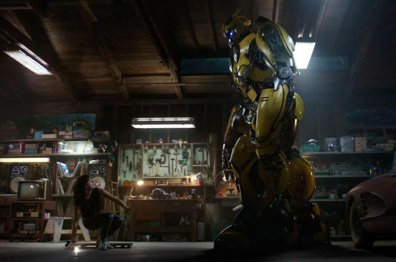 Bumblebee localisation TVC