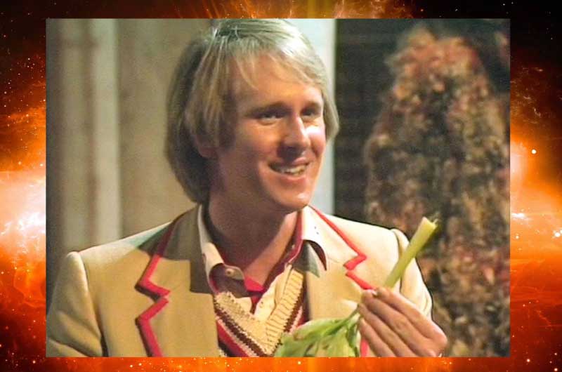 The 5th Doctor - Peter Davison